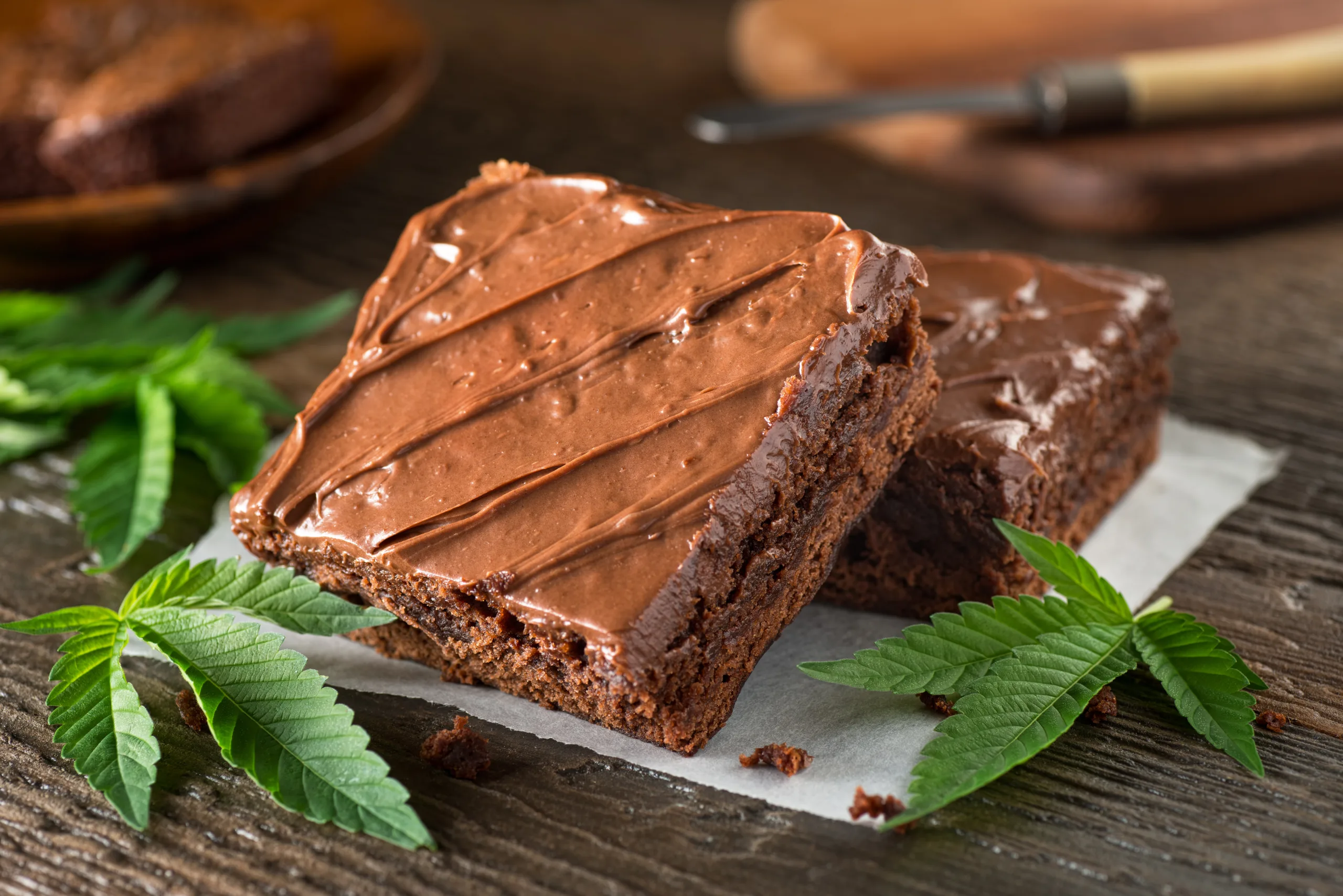 EXPLORING THE ADVANCEMENTS IN CANNABIS USE WITHIN THE FOOD INDUSTRY.